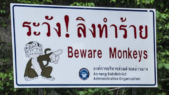 Beware Monkeys